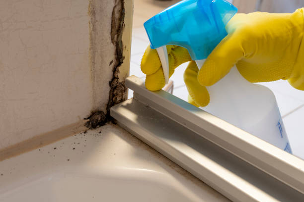 Best Residential Mold Remediation in Wadley, GA