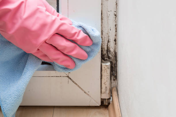 Best Mold Remediation for Schools in Wadley, GA
